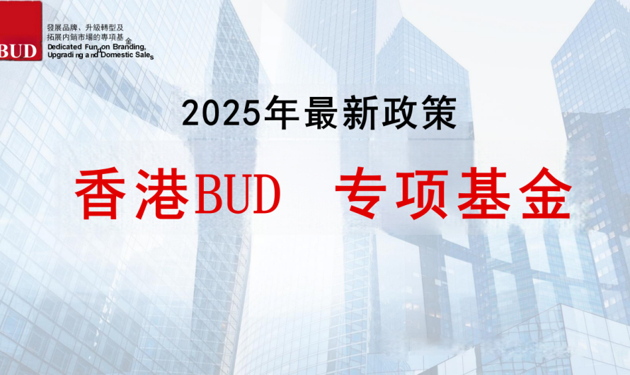 中小企业利好！2025最新BUD基金政策解读