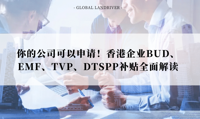 你的公司可以申请！香港企业BUD、EMF、TVP、DTSPP补贴全面解读